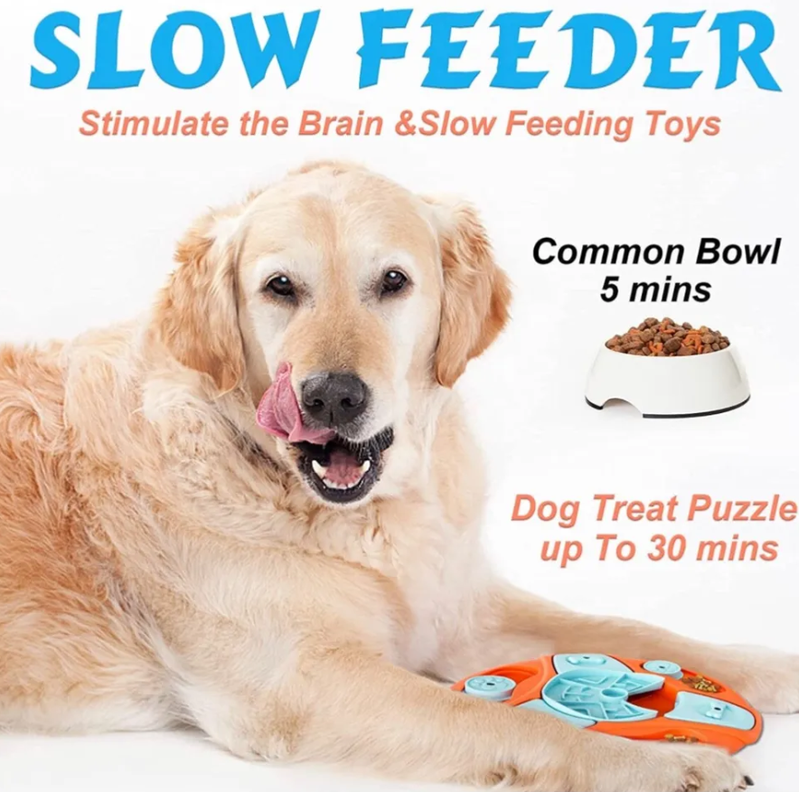 Mind-Challenging Dog Puzzles for Enhanced Brain Activity - Image 5