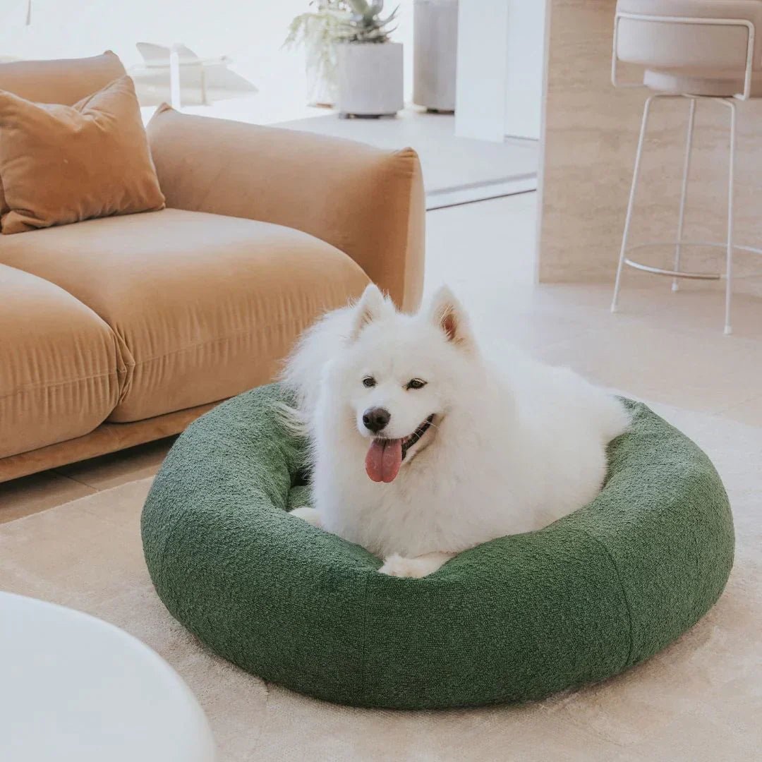 Luxury Boucle Dog Bed - Image 8