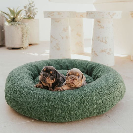 Luxury Boucle Dog Bed - Image 13