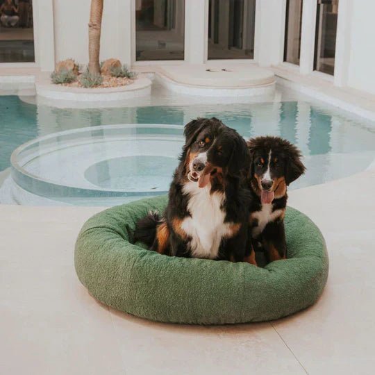 Luxury Boucle Dog Bed - Image 15