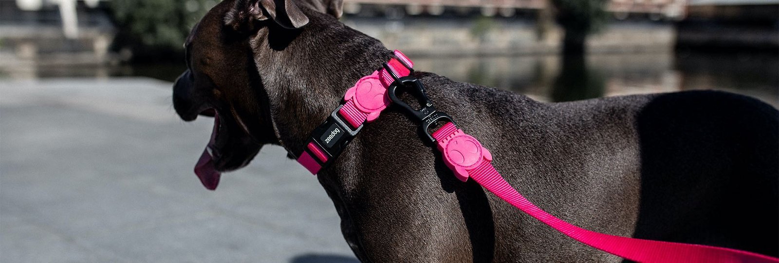 Pink LED | Adjustable Air Mesh Harness - Image 6
